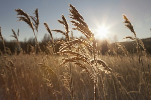 Quelles croisières permettent de découvrir la culture aborigène en Australie?