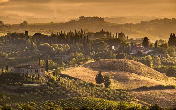 Comment organiser des vacances en Toscane avec des cours de cuisine et des visites de vignobles?